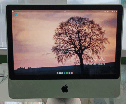 iMac A1224